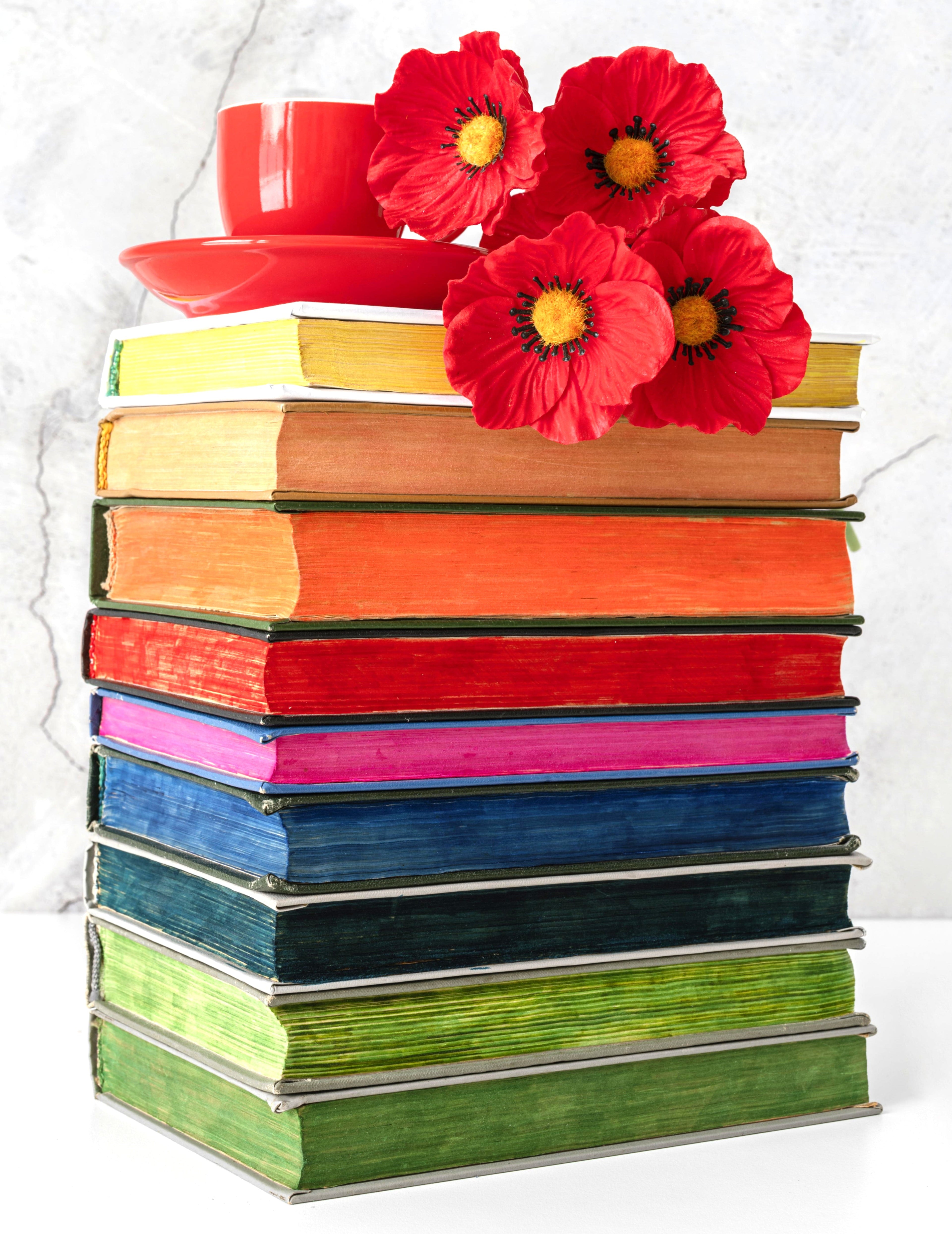 Books - Apotte General Store | 40-15 81st Street, Apt. B35 Elmhurst NY 11373